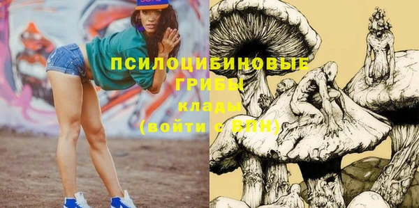 ГАЛЛЮЦИНОГЕННЫЕ ГРИБЫ Заволжск