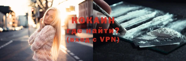 крисы Шали